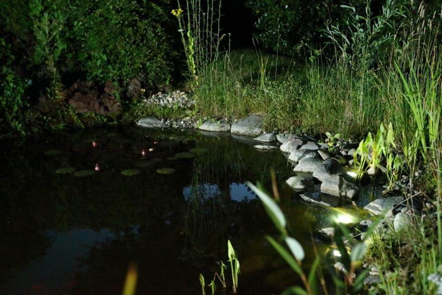 Ferienwohnung Welcome Mit Seeblick Schalkenmehren Luaran gambar