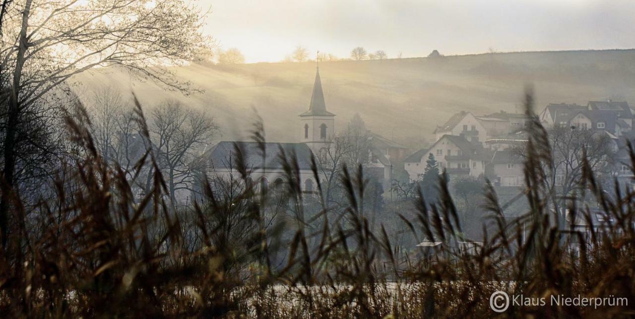 Ferienwohnung Welcome Mit Seeblick Schalkenmehren Luaran gambar