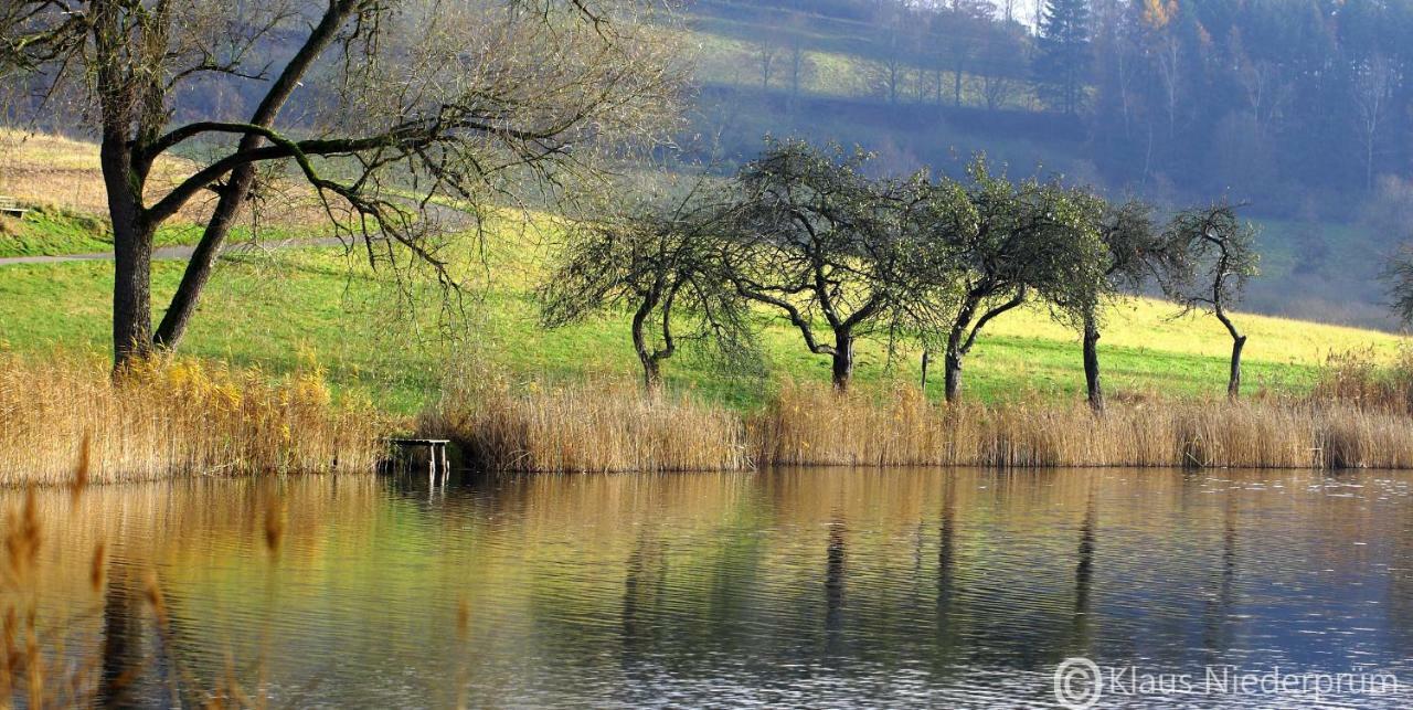 Ferienwohnung Welcome Mit Seeblick Schalkenmehren Luaran gambar